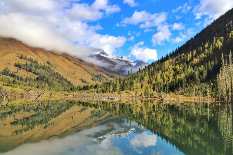 Mountains and Rivers - Mirror